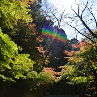 香取神宮参道