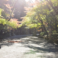 香取神宮参道