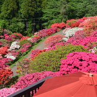 笠間つつじ公園