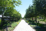 Tさん 女性(千葉県)